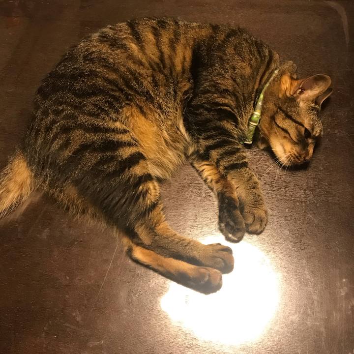 537f0791 ea7a 470c ad0b a2c6afec956c 1624626276682