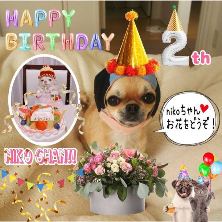 537f4497 8a7d 4c91 9fa8 9ae8c65f7a7f 1643689130376