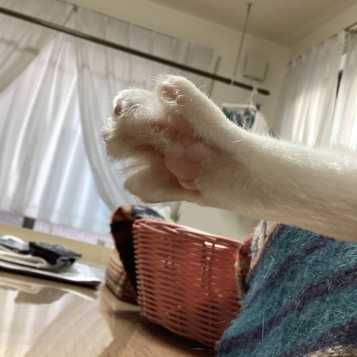 537f8931 a8d2 4248 bdc8 3424151868be 1645761550229