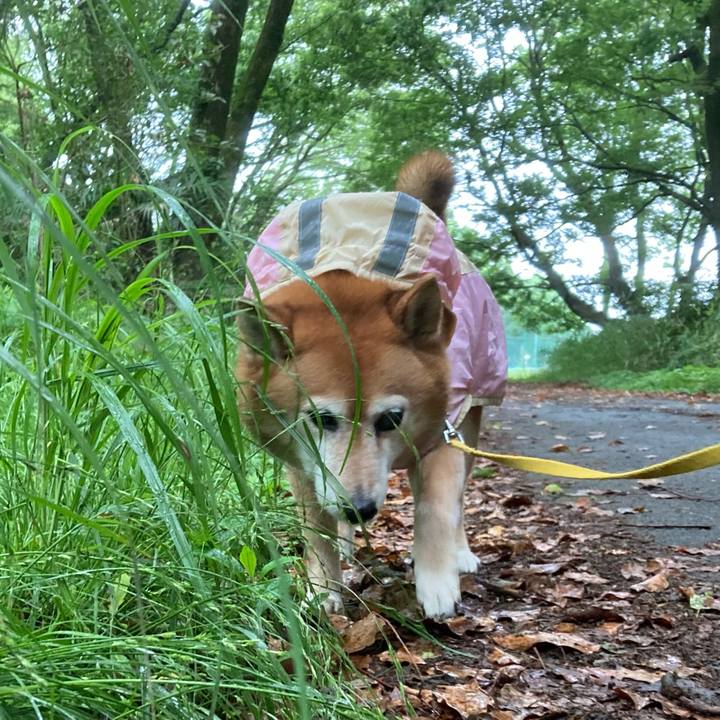 537fbfd8 6552 4f38 afe9 e2d21f912889 1652674600740