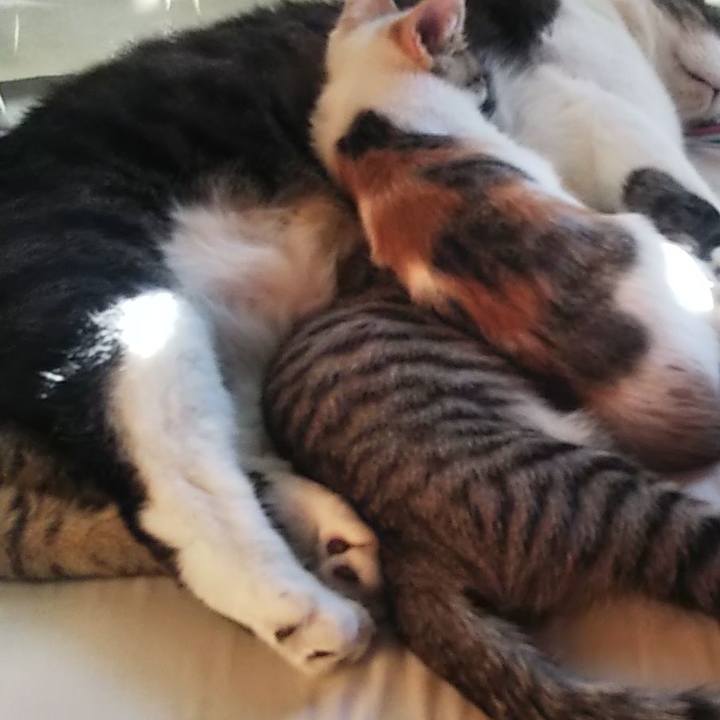 537ff8e6 d699 4cf4 869d 036fa051e683 1640396961106