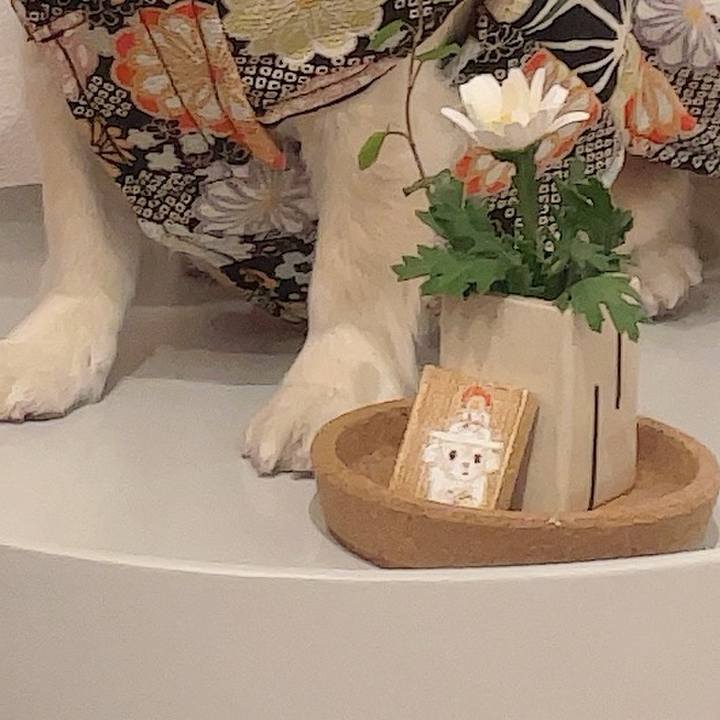 537ffd01 4a62 44d0 b1cc f8206c1e9b7d 1736773815839