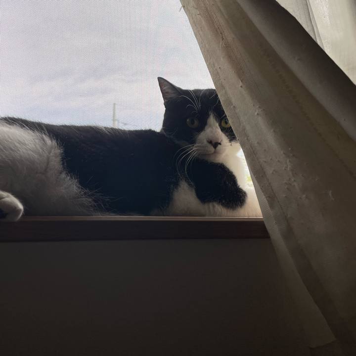 53800c44 c9b2 46b8 8ad0 e1b4158df716 1722028384153