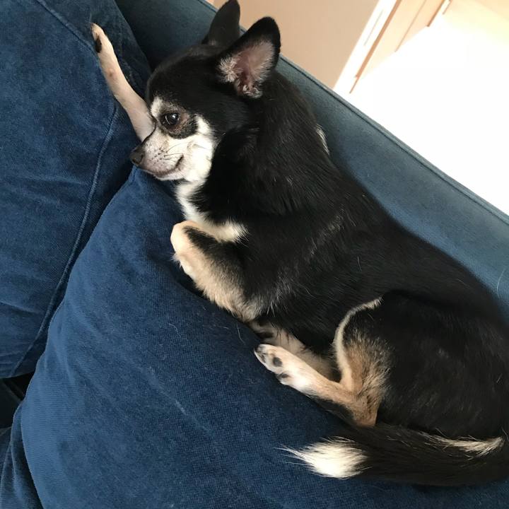 53803727 ea12 4aff 8e5a 987854421a34 1534029394714