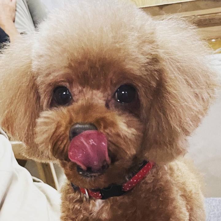 53804e2f fb83 47d7 8ca1 cfdecb9f0e16 1657350398098