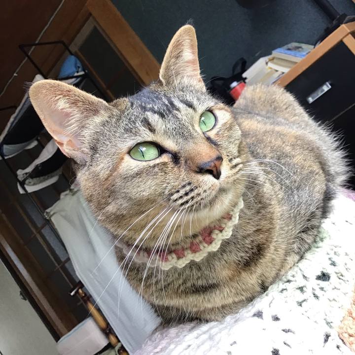 538090f6 34ea 4be5 8b49 10fb260f0a4c 1652505251297