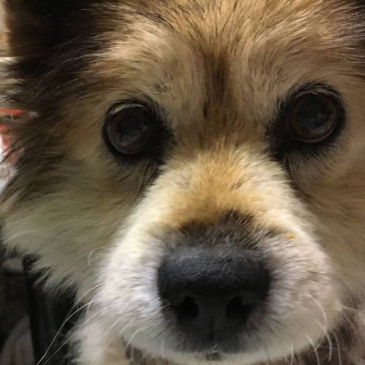 538095c9 f34d 414c ba13 007cf4860f27 1574639592429