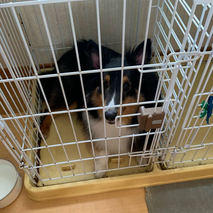 5380abef 4f81 4a3e 9104 996ba09f10af 1595197158094