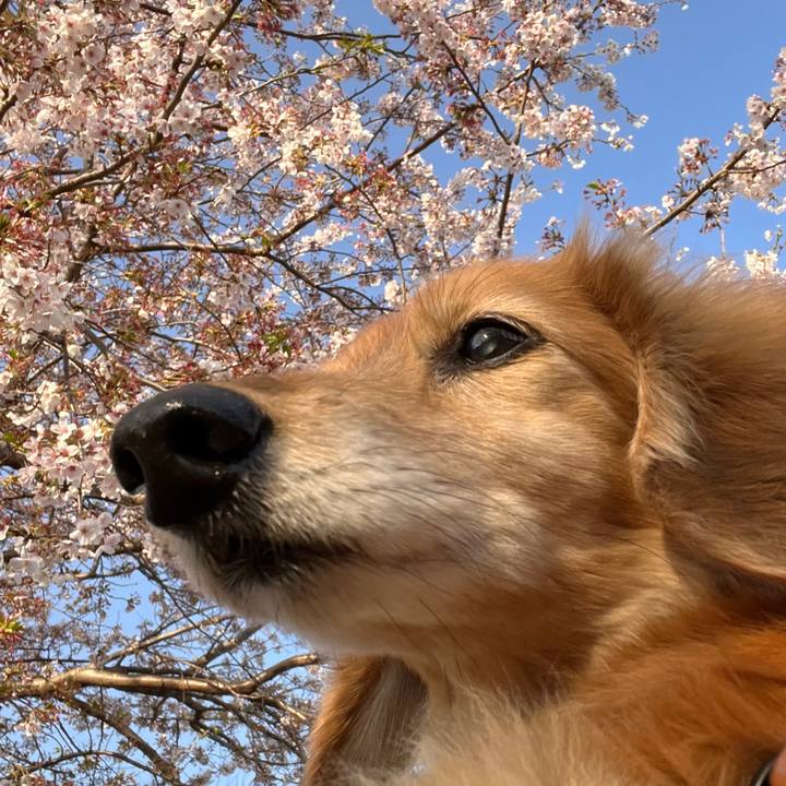 5380ade1 a764 471d 8b17 c64f379aaf6a 1649599065529