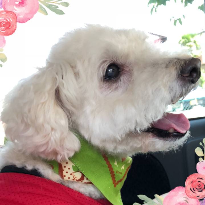 5380bbde 557c 4e87 b36c 2566e57a0b40 1533957462961