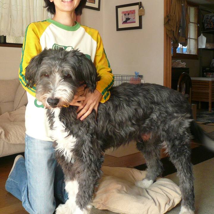 5380d220 08fd 4e38 9aec 559b2e7b1531 1642594313320