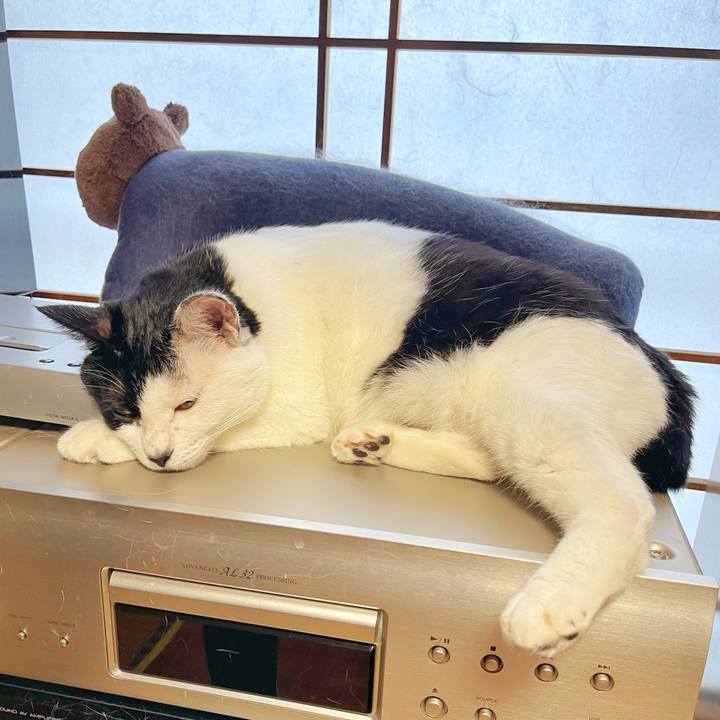 5380e362 9f2f 4755 906d c89ad52f6a9a 1753397418228