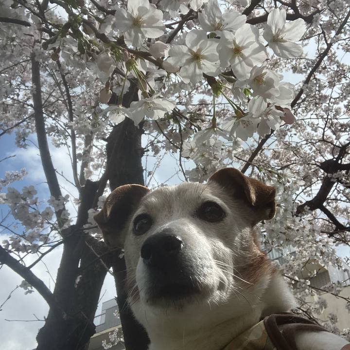 538120d1 ac29 4ddb 8ac0 d84009ce1426 1774655595714