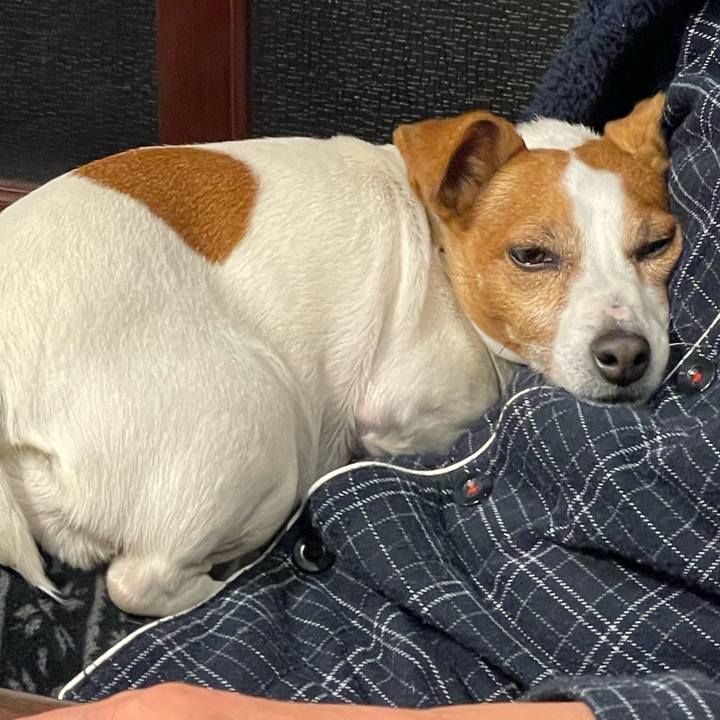 53814ecc c474 470d 8171 ccbf2e58b44e 1770037705001