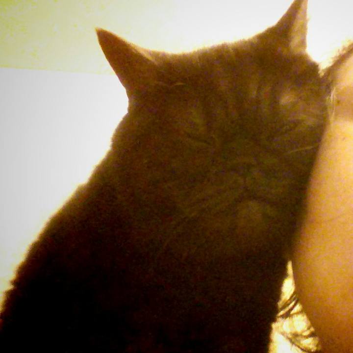 53818e31 cfa4 42d6 a3a8 48efa9c80210 1599300382465