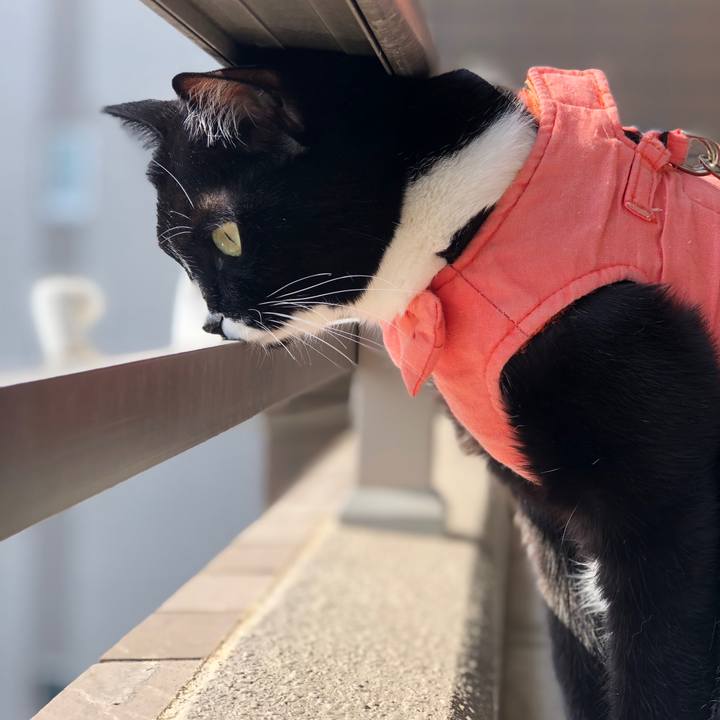 5381f898 a466 4d9e 8e81 75cc0e1cc5d0 1584772271914