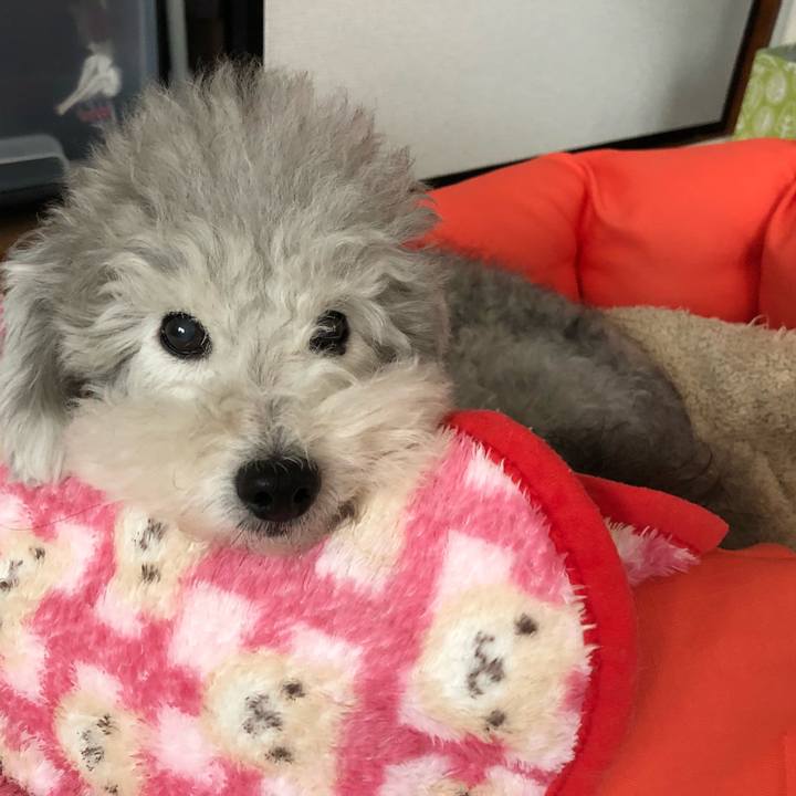 53820d78 78cc 42c0 bad9 f14668e640bb 1540249614937