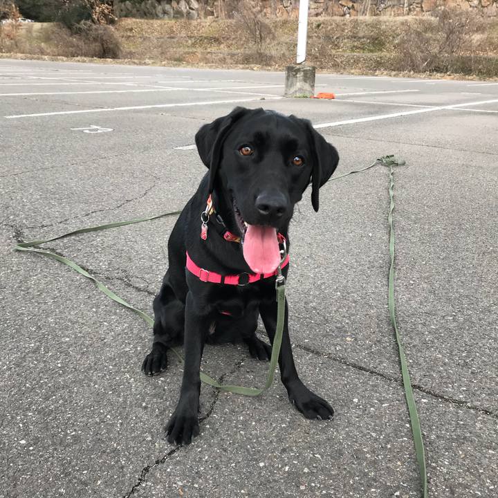 53823295 b023 4f4a a449 e1e185753cce 1517645815296