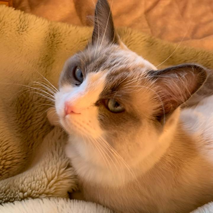 53824248 2cb8 4c18 9254 7840d2dacd79 1638601606543