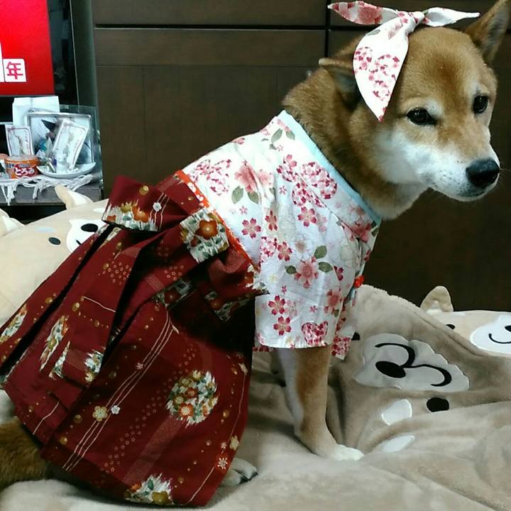 538249a4 a92f 4e75 980a 8e5d04bfb658 1555570315032