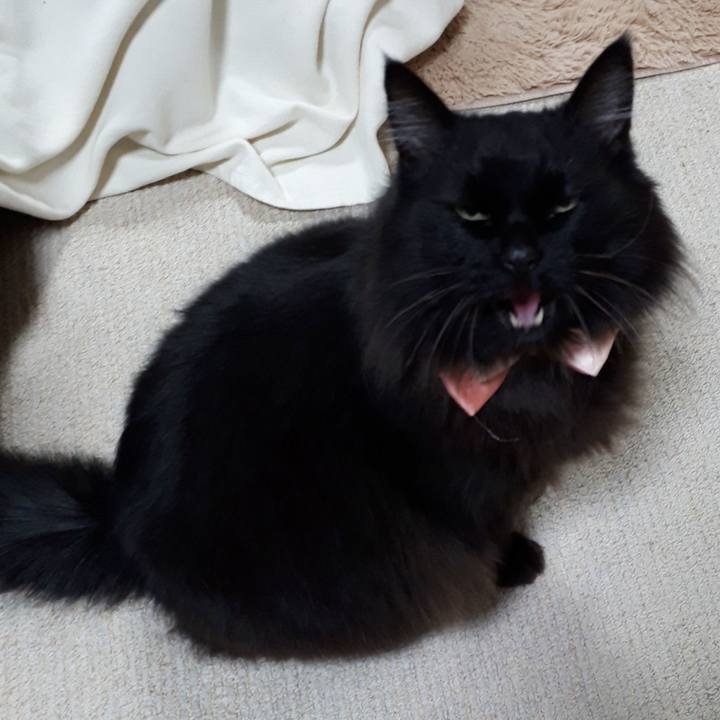 53824dc0 d0c0 4932 8544 6a7a2127c8f9 1520887084042