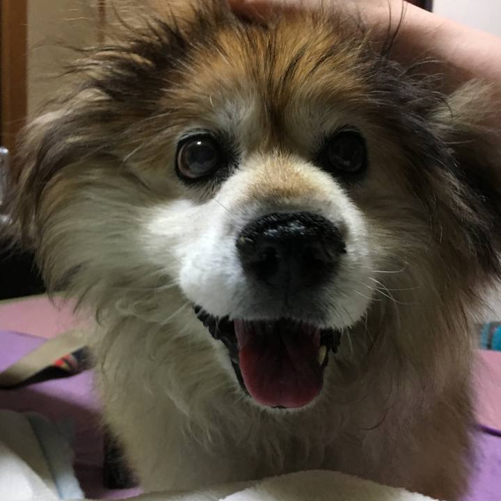 538292e2 0240 4040 8296 3fd5740211bd 1592142055287