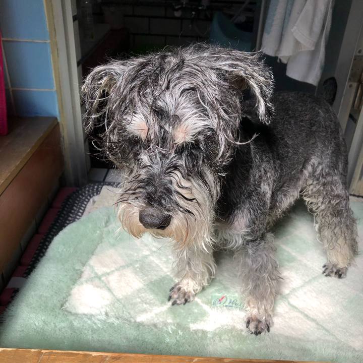 5382ca2a 0bfd 44c4 99c8 2900467e0e1c 1679196140477