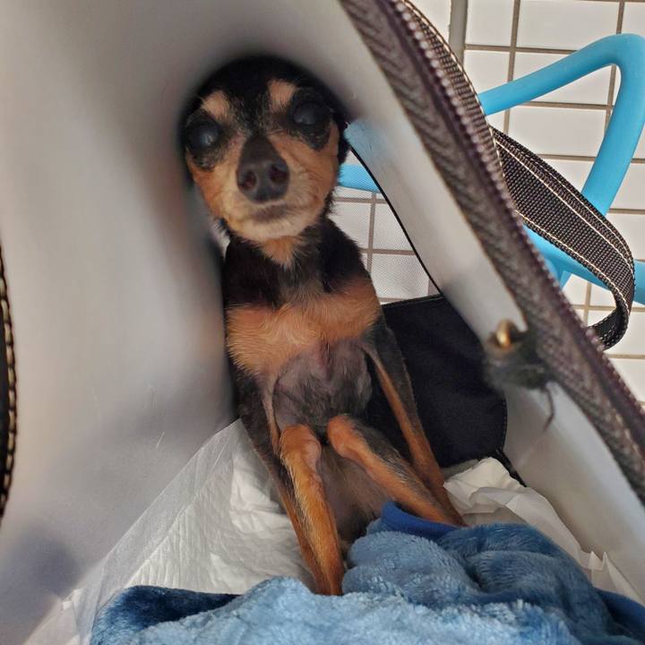 5382ce5f 809a 4a79 a9c4 31d210875574 1712365715337