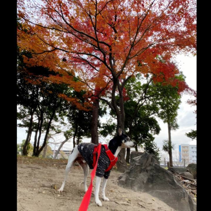 5382dbf5 99ad 4719 8569 97d531fd14ae 1608346212351