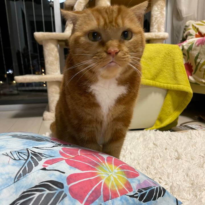 5382e7ac 66ea 41c2 8fea eacdcd3a0ec4 1662380013123