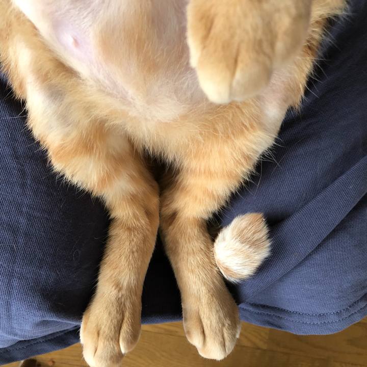 5382f277 3dba 41f0 8f06 e7133e162a85 1646463869725