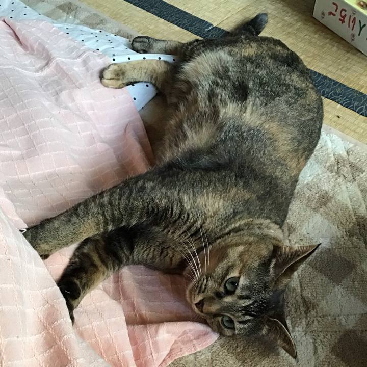 53831de7 3db4 4c8c b02c ee24d18d73a1 1668821854352