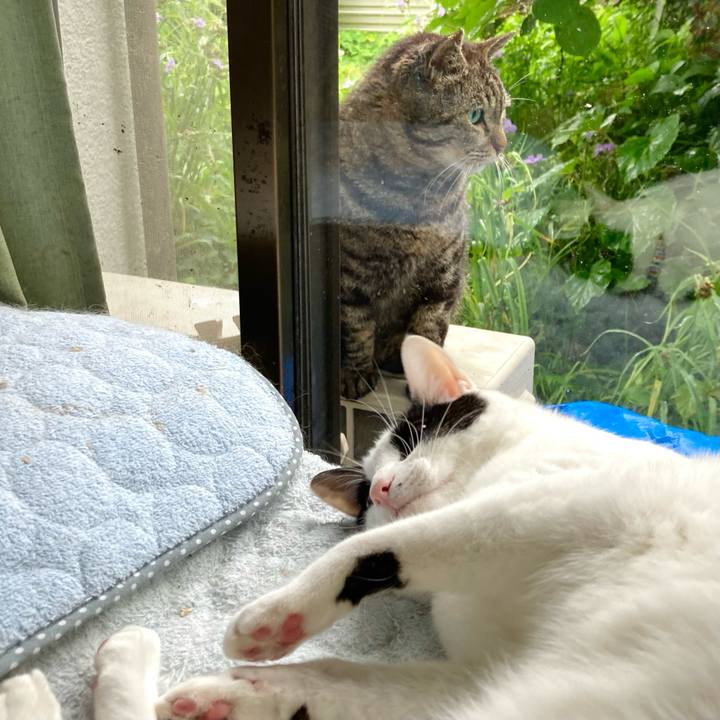 5383305c 9c12 4cda 87ea 4ccd93ef59b2 1655948728063