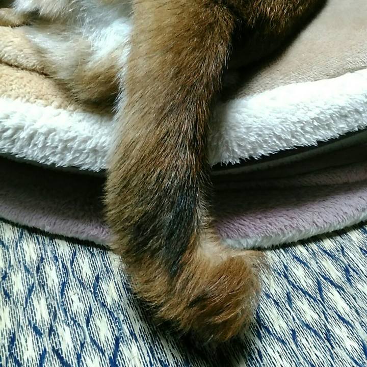 53835d48 c1a3 49ec a9d3 e7109b3ac680 1537873023504