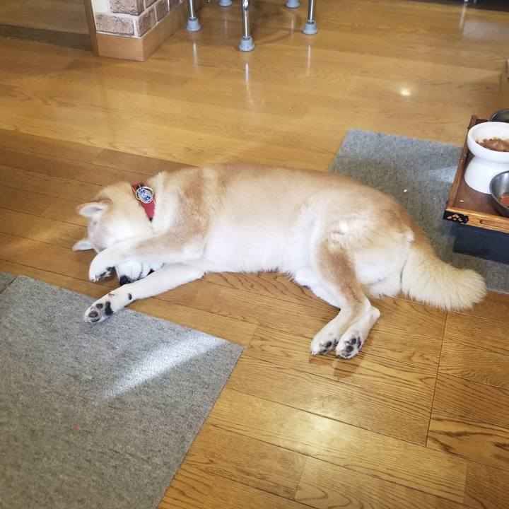 53835e2f 14f4 4f71 b606 76d3cc74f829 1736124683118