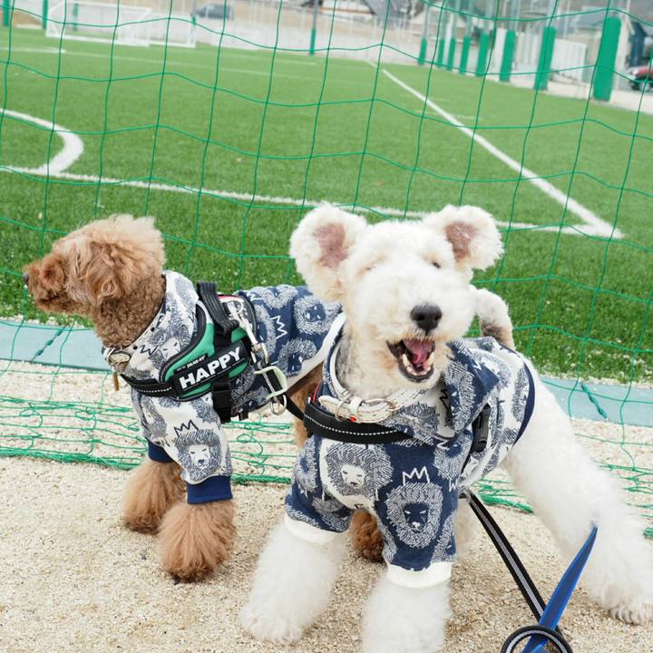 5383711a ca73 42e6 b06e b5bbb4cf41f4 1520331043642