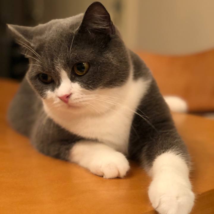 5383922d acd3 4b0a b398 9310d193f5f3 1537966412289