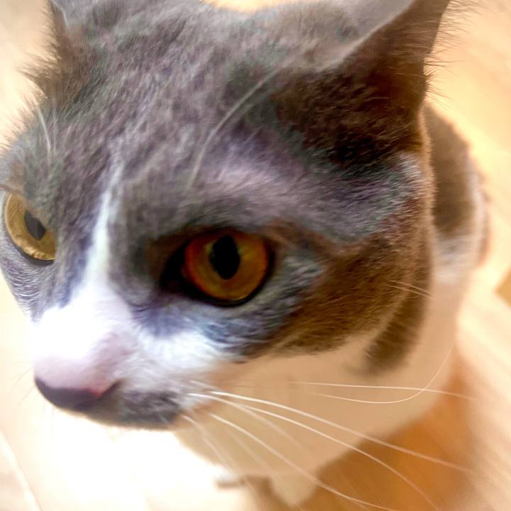 5383d0de 4256 4795 991e d411000b4d1e 1626182583354