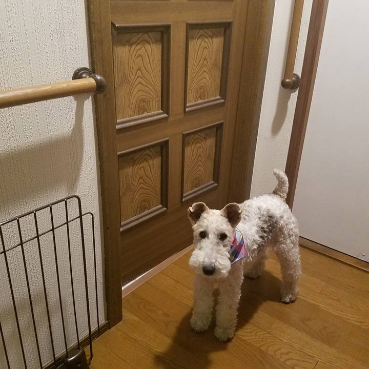 5383f4bb ad62 42e5 8569 d36cdb39d026 1550667603184