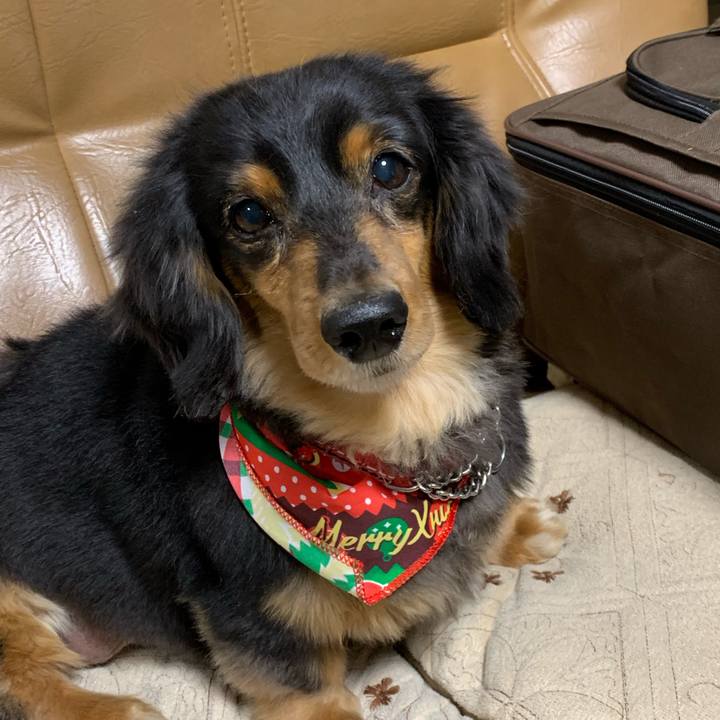 53840bcd 3060 4262 bc98 c29c01b47a44 1545691796905