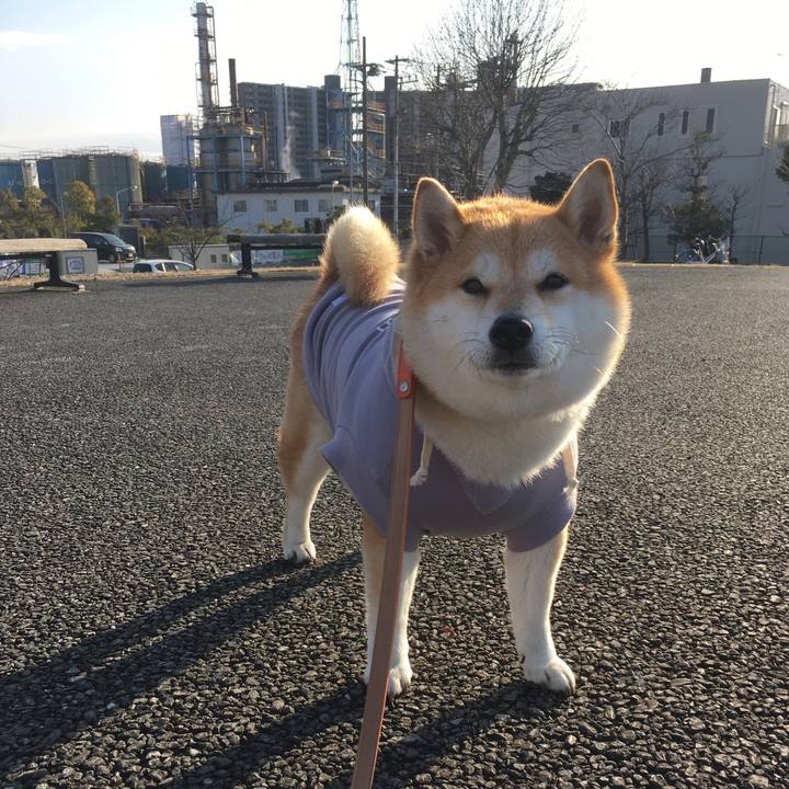 53844661 bf48 4b49 9655 a48eb3a293fd 1548662634074