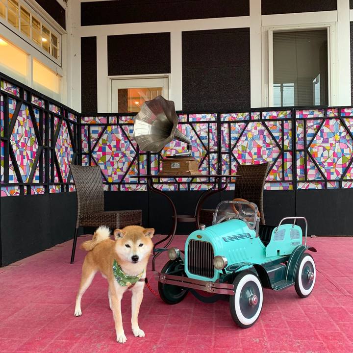 5384781b b887 4f57 ab71 d12c6d11e8a0 1577851793903