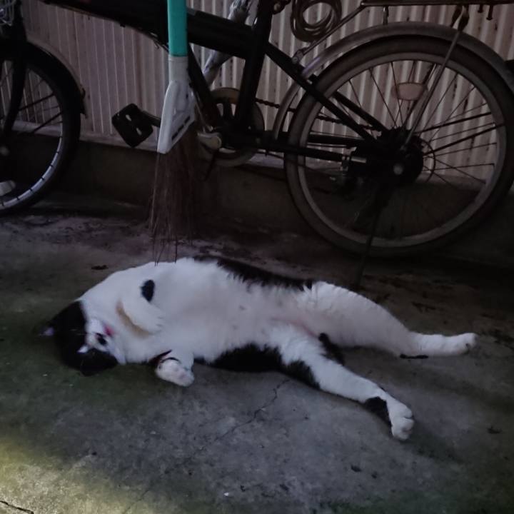 53848439 4f87 47d3 98fb 3d1a990f43c4 1598611570809