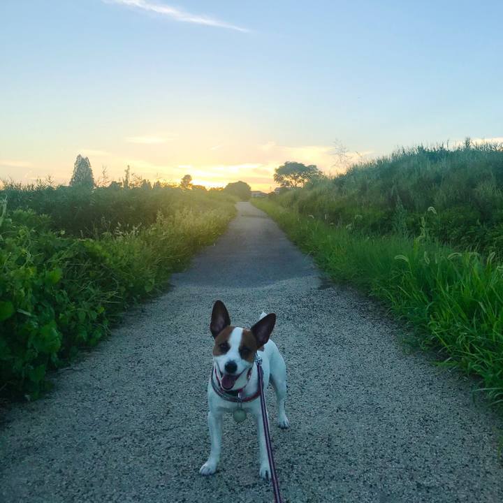 53849371 ffdd 4482 bb59 96aae1599977 1535297583399