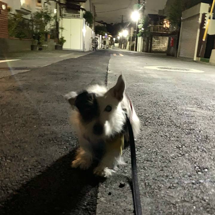 53849dd5 815a 4535 a3bd 303b88e7640e 1731930469230