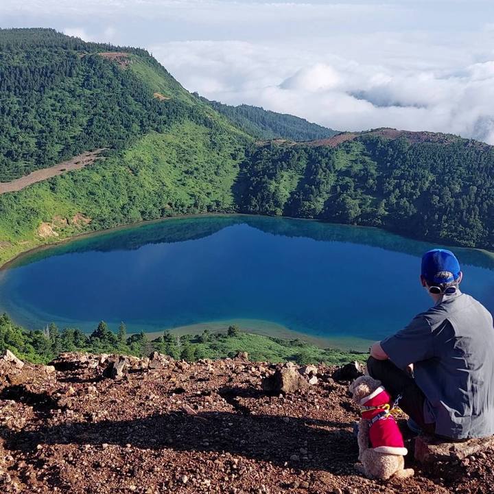 5384a88e a26c 488b bf66 01cc8a0190b6 1723363871916