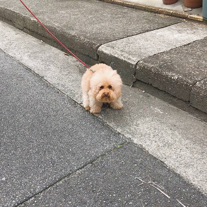 5384c0db a5b4 4ae0 bc68 1df36ff137bd 1521341331923