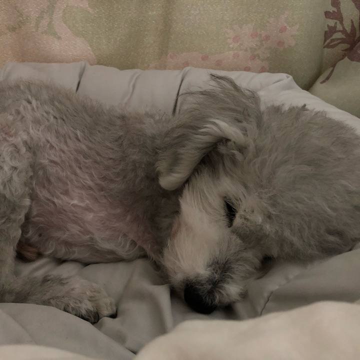 5385093a f85a 4654 9c3f c6e6556165ba 1622940234304