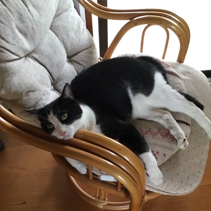 538516ff 09a5 47f0 937d cda4f28477ca 1690805140867