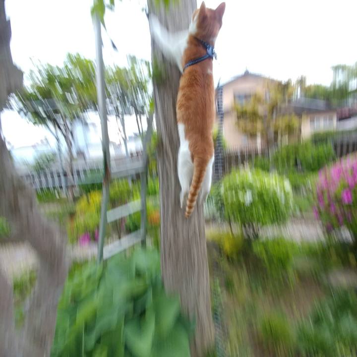 53856332 c699 4f8c 9edf 3c1de6baa75c 1525602971384